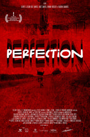 Perfection' Poster