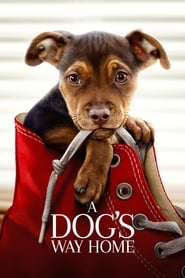 A Dogs Way Home Poster