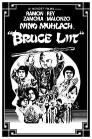 Bruce Liit' Poster
