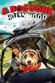 A Doggone Hollywood' Poster
