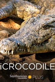 iCrocodile' Poster