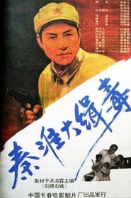 Seize Drg Smugglers in Qin Huai' Poster