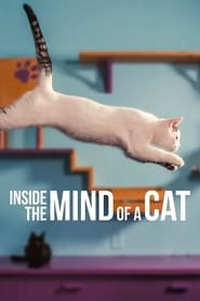 Inside the Mind of a Cat' Poster