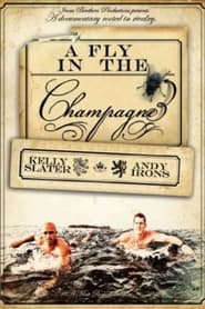 A Fly in the Champagne' Poster