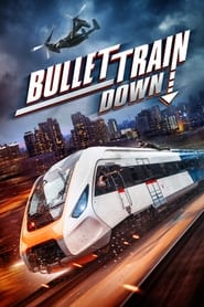 Bullet Train Down' Poster