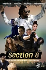 Section 8' Poster