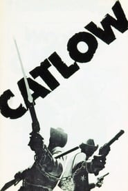 Catlow' Poster