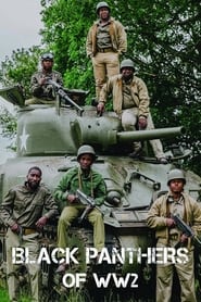 The Black Panthers of WW2' Poster