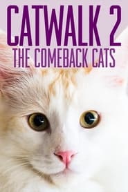 Streaming sources forCatwalk 2 The Comeback Cats