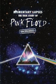 Pink Floyd Momentary Lapses  The True Story of Pink Floyd' Poster