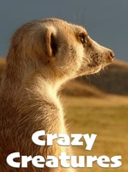 Crazy Creatures' Poster