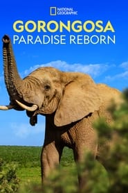 Gorongosa Paradise Reborn' Poster