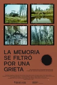 La memoria se filtr por una grieta' Poster