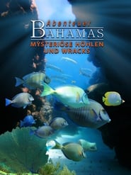 Adventure Bahamas 3D  Mysterious Caves And Wrecks' Poster