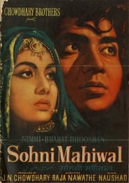 Sohni Mahiwal' Poster