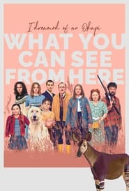 What You Can See from Here' Poster