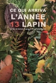 Ce qui arriva lanne 13 lapin' Poster