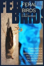 Feral Birds' Poster