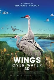Wings Over Water' Poster