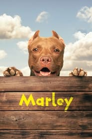 Marley' Poster