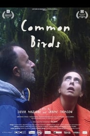 Common Birds' Poster