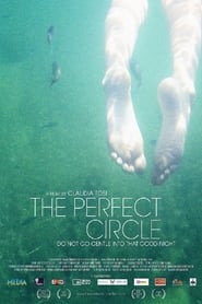 The Perfect Circle' Poster