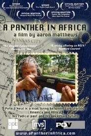 A Panther in Africa' Poster