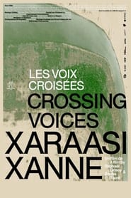 Crossing Voices' Poster