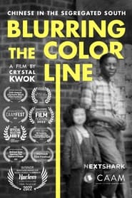 Blurring the Color Line Chinese in the Segregated South' Poster
