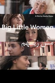 Big Little Women' Poster