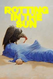 Rotting in the Sun' Poster