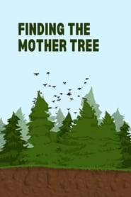 Finding the Mother Tree' Poster