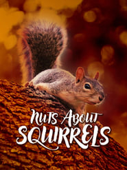 Nuts About Squirrels' Poster