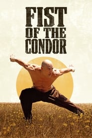 Fist of the Condor' Poster