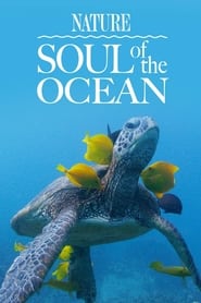 Soul of the Ocean' Poster