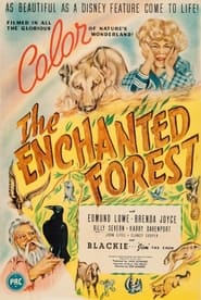 The Enchanted Forest' Poster