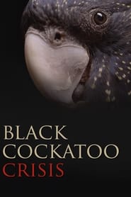 Black Cockatoo Crisis' Poster