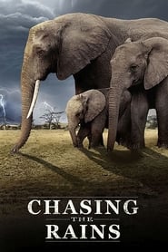 Chasing the Rains' Poster