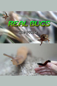 Real Bugs The Movie' Poster