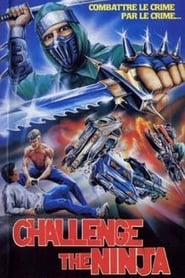 Challenge of the Ninja' Poster