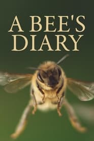 A Bees Diary' Poster