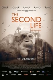 The Second Life' Poster