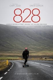 828' Poster