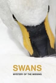 Swans Mystery of the Missing' Poster