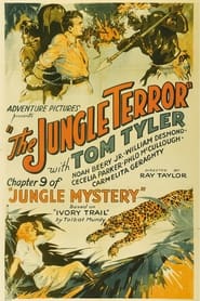 Jungle Mystery' Poster
