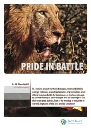 Pride in Battle' Poster