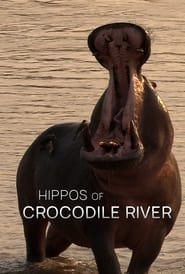 Hippos of Crocodile River' Poster