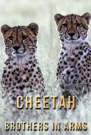Cheetah Brothers in Arms' Poster