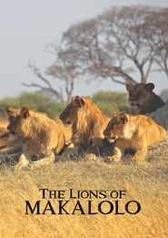 The Lions of Makalolo' Poster