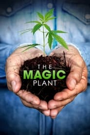 The Magic Plant' Poster